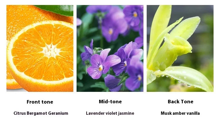 Jean Miss RedJeans Perfume Cologne Women's Perfume